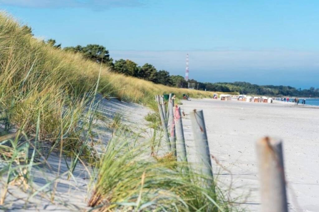 Ferienhaus Sanddorn Breege- Zwischen Bodden & Meer 외부 사진