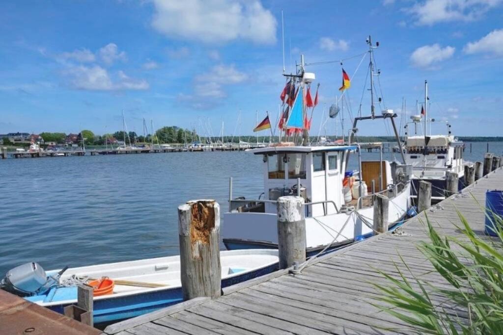 Ferienhaus Sanddorn Breege- Zwischen Bodden & Meer 외부 사진