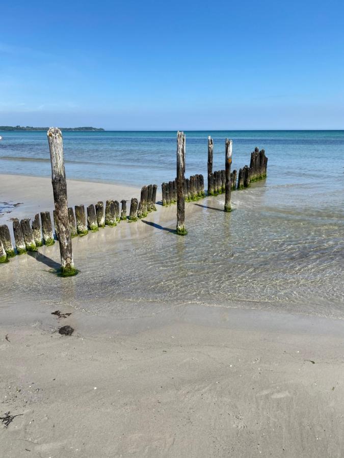 Ferienhaus Sanddorn Breege- Zwischen Bodden & Meer 외부 사진